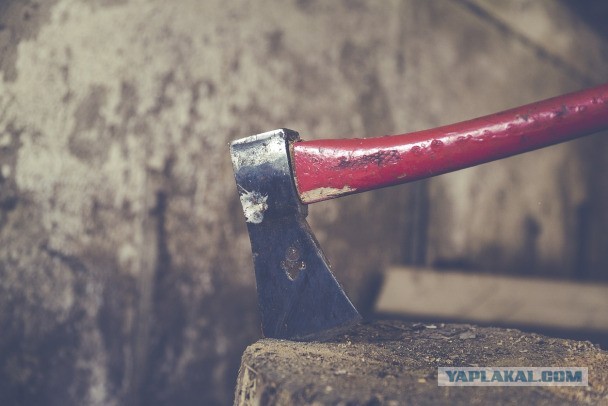 Руки в холодильнике, человечина – на плите. Полицейские Ленобласти наткнулись на ужасное в Мичуринском