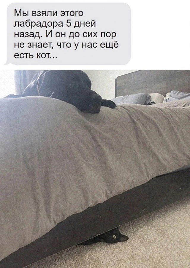 Так себе картинки 04.11.23
