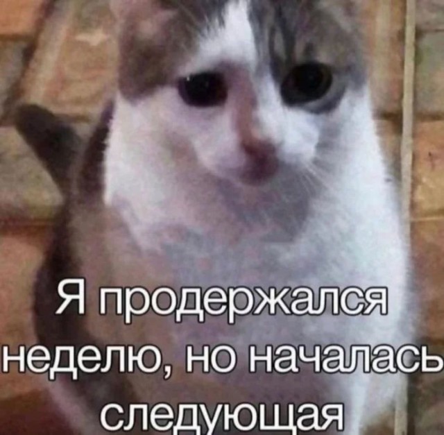Приколы с налетом деградации