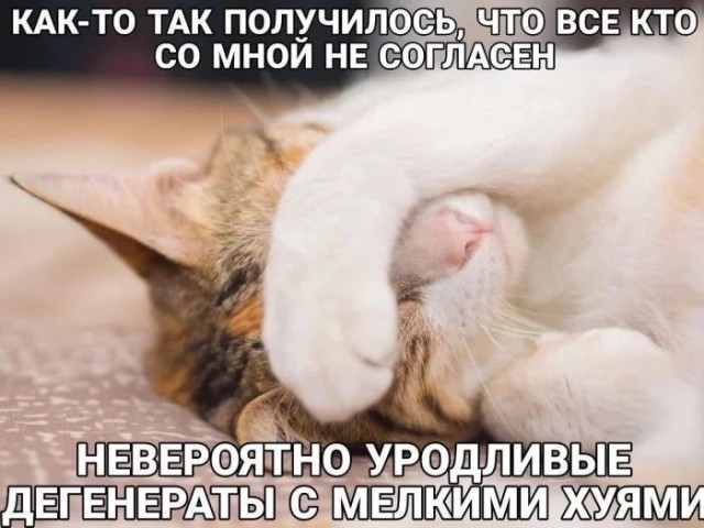 Приколы с налетом деградации в пятницу