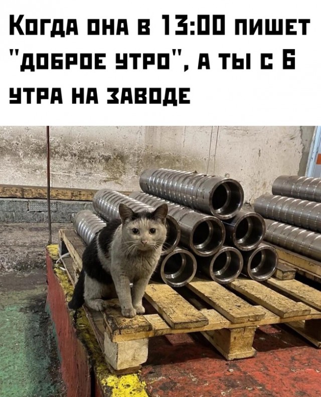 Весёлый полтишок 05.01.24