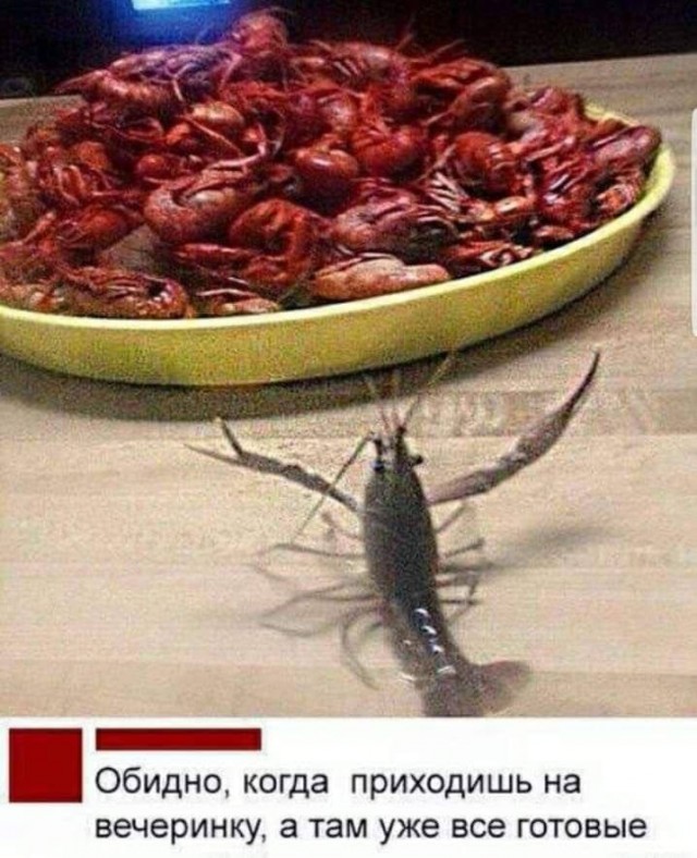 Всех с ПЯТНИЦЕЙ!!!