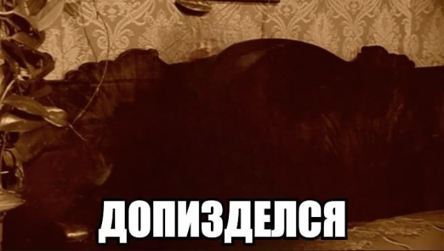 Всего понемногу. От 23.02.24