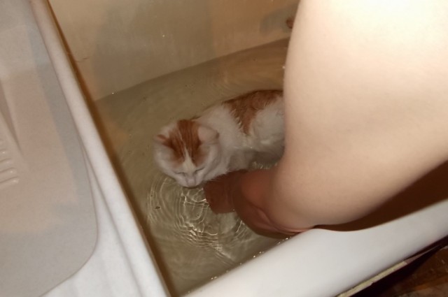 Вот, пришёл