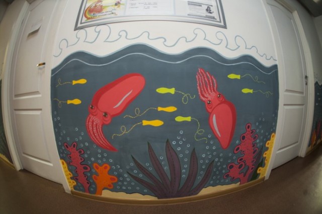 Почти год на любимую работу!