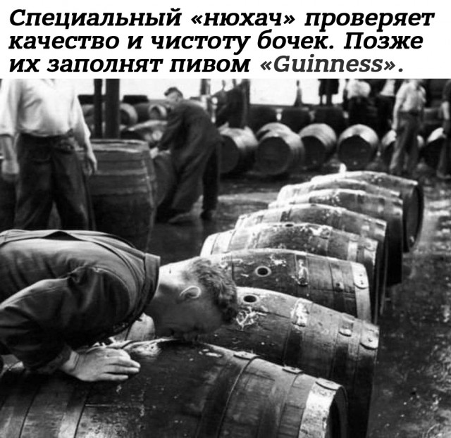 Небольшая подборка истрических фото (15.05)