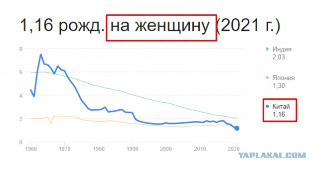 Ни денег, ни жилья. Депутат Госдумы с Алтая нашла вину мужчин в отказе женщин рожать