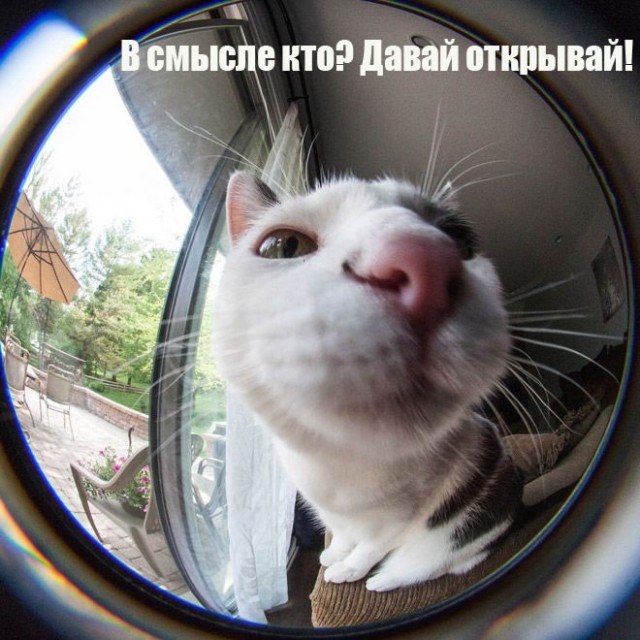 Так себе картинки 19.09.24