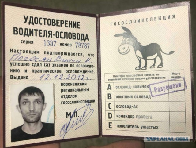 Кино с замечательным маневром расходится по Питерским пабликам