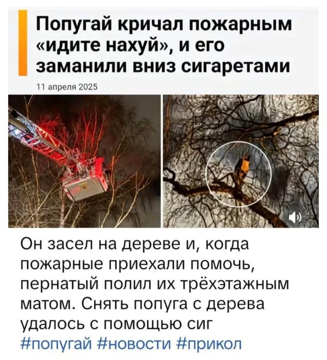 Быстрая деградация