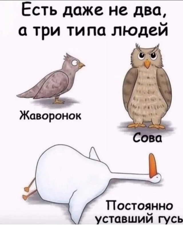 Веселые картинки в пятницу (30.05)