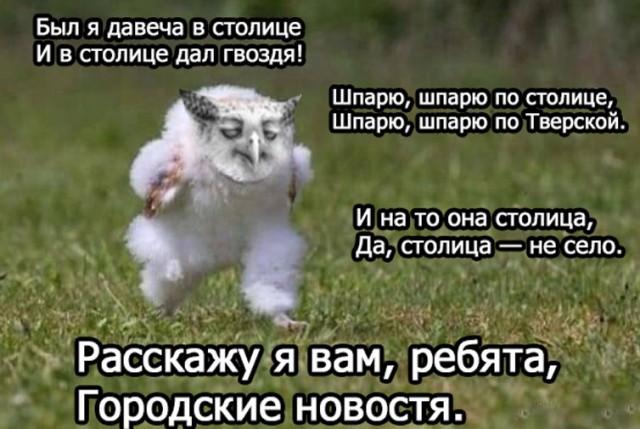 Продолжал терпеливо сохранять мемы