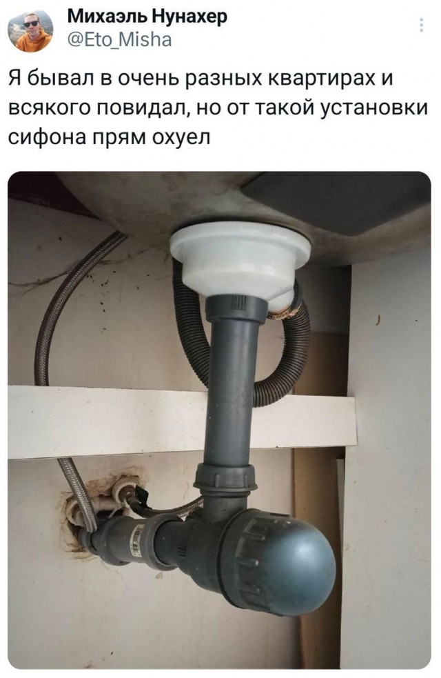 20223876.jpg