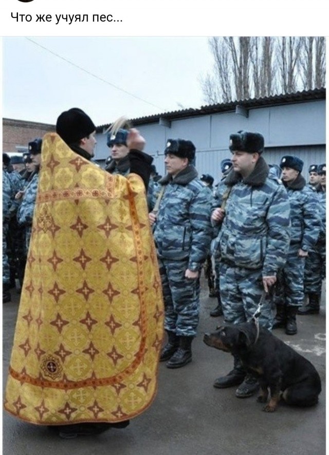 Картинки для деградации 26 (разной степени свежести)