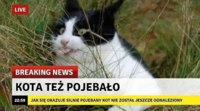 Солевой барсик