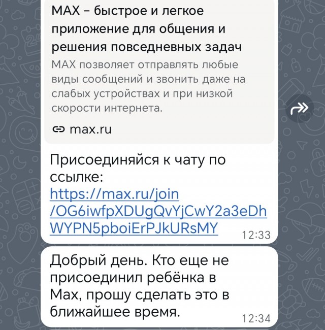 Использование мессенджера Max является полностью добровольным