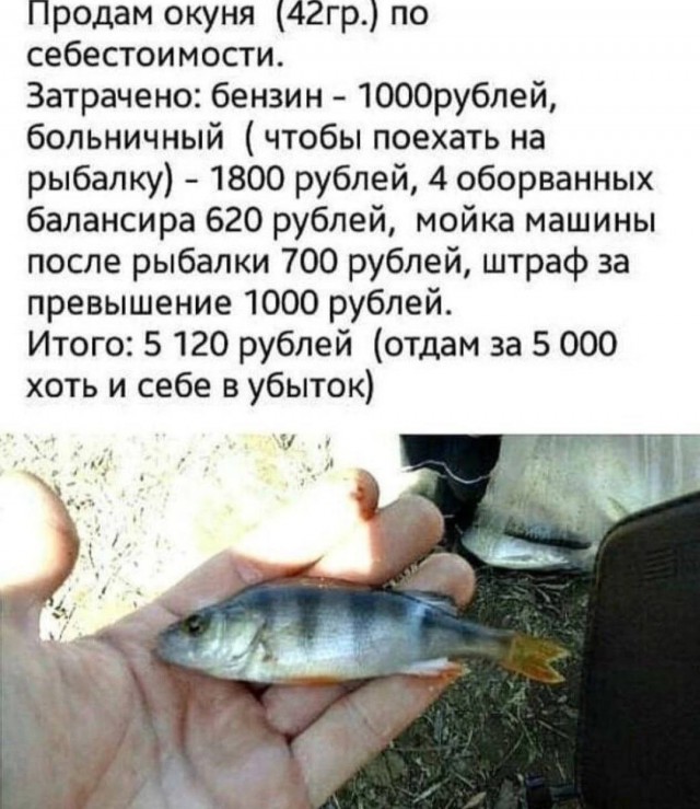 Предновогодние бояны