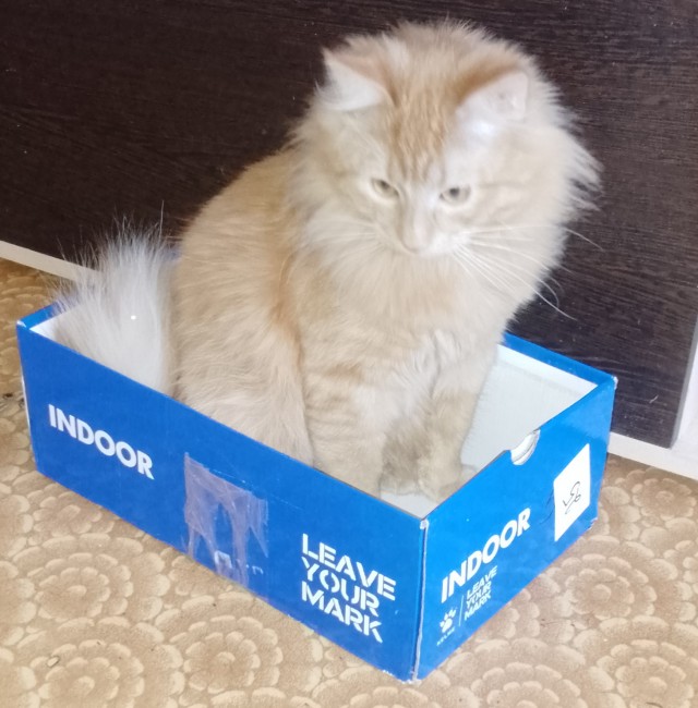 В доме появился ребёнок