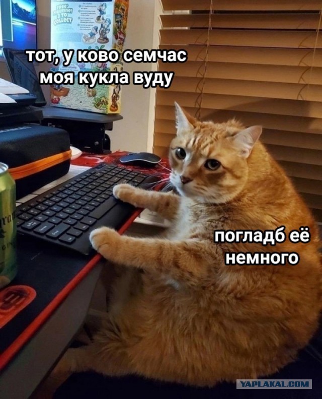 Картиночки, баянчики 27 февраля