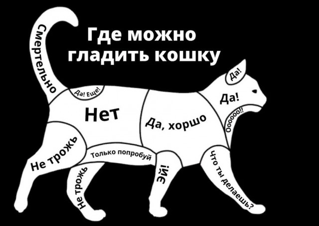 Котямбосы