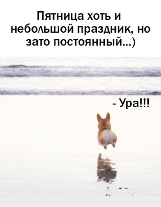 Так себе картинки 03.04.26