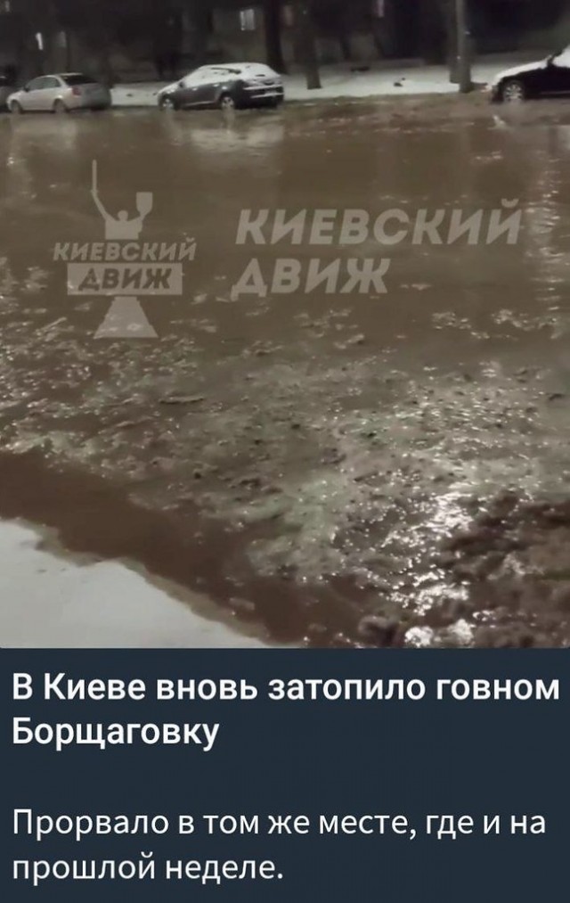 Когда соседи ДЕРЬМОДЕМОНЫ-2