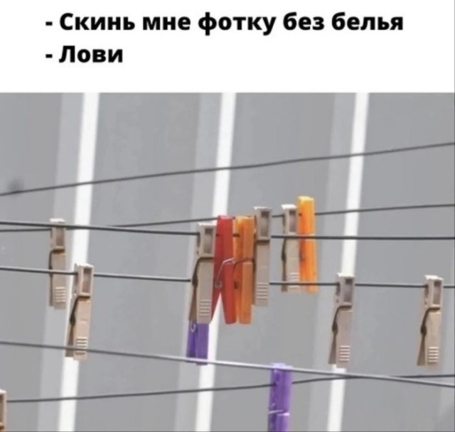 21137876.jpg