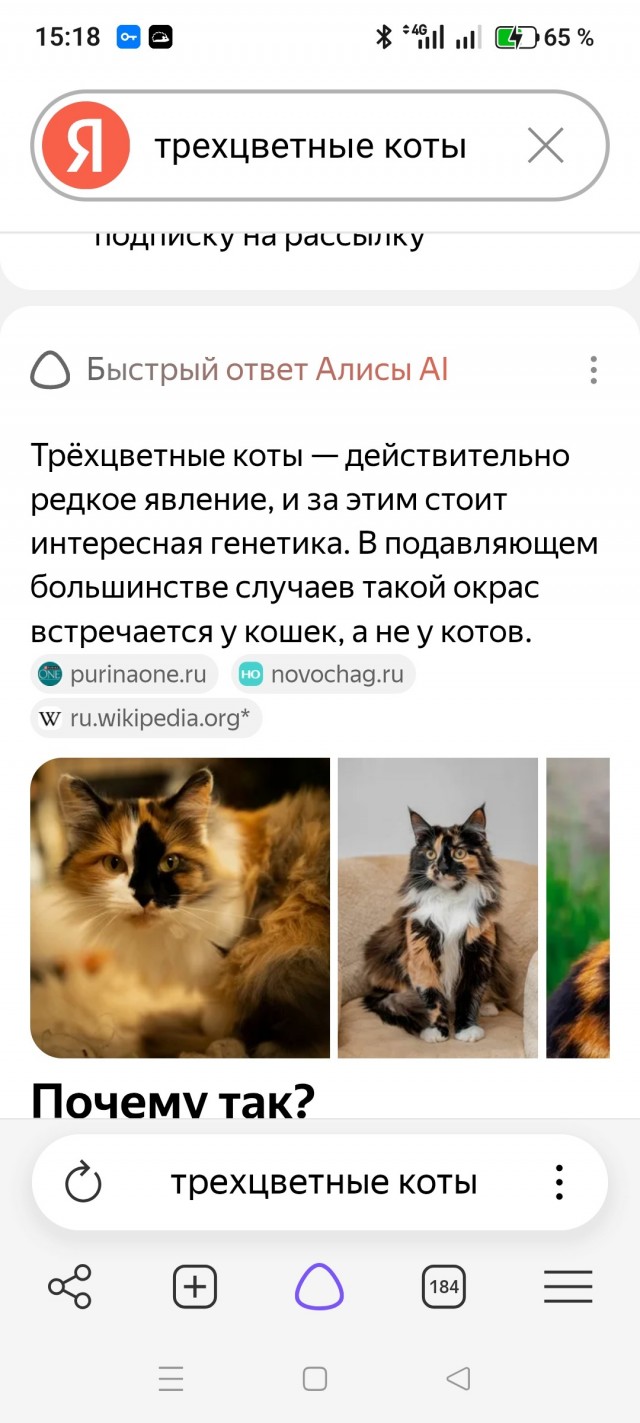 Уличных трёхцветных кошек тред