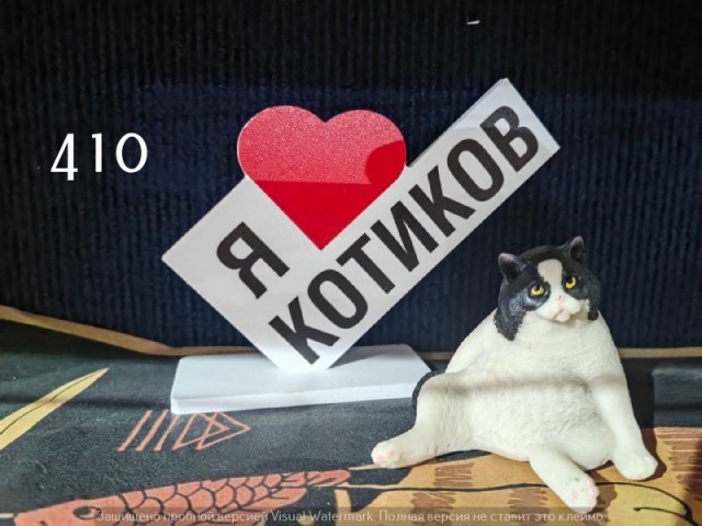 Жизнь домашнего приюта "Котоленд" 563