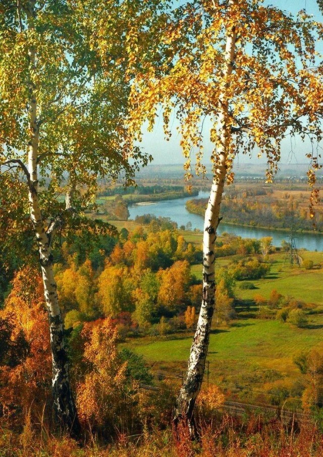 Прикольные и просто красивые картинки 16.10.2026