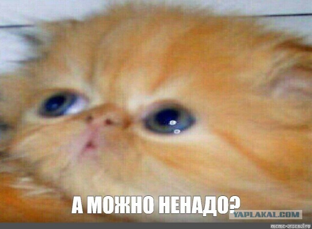 Телефон в ремонте по гарантии и не выдают подменный
