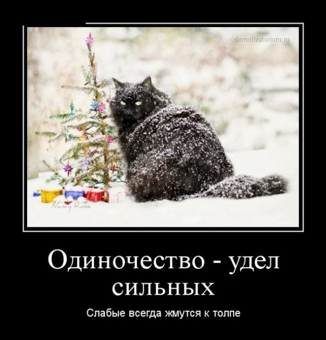 Демотиваторы.