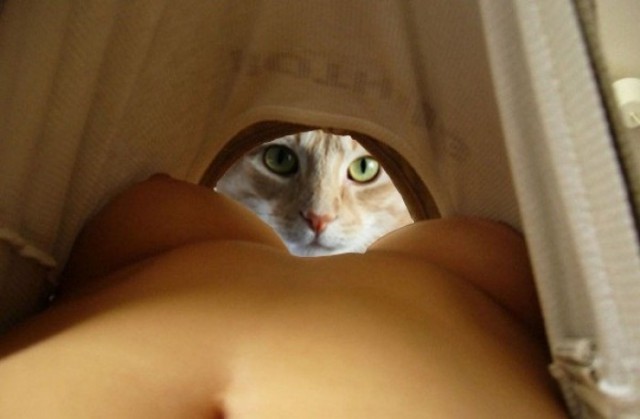 Смешные картинки