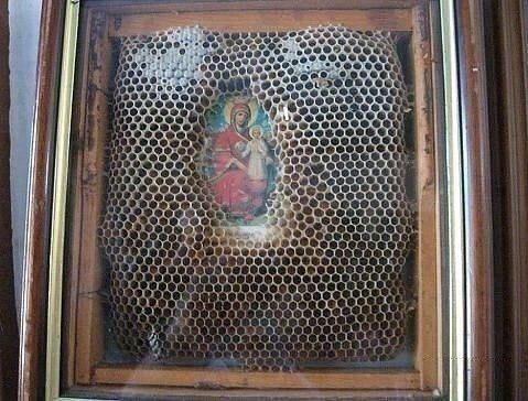 Вокруг Богородицы пчелы сделали красоту