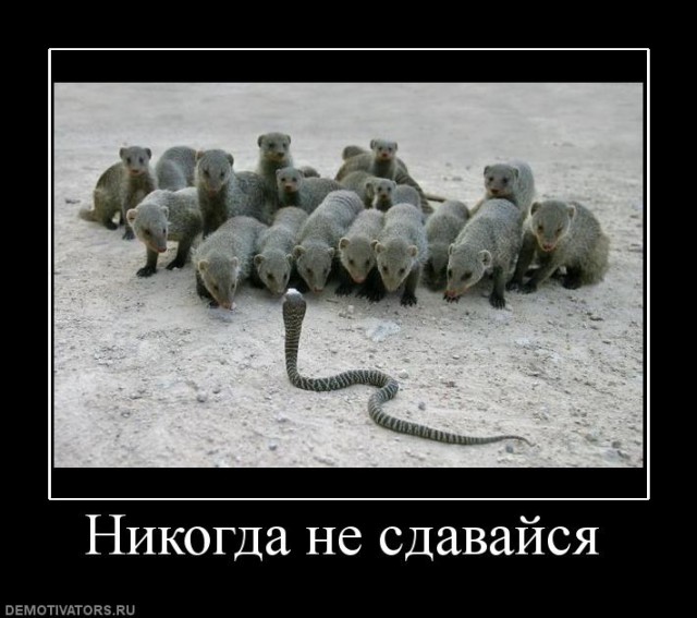 Вы хотите "демов"?