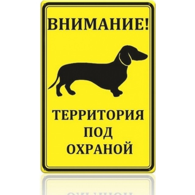 Таблички собачьи