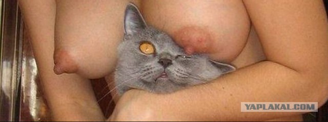 В погоне за ЮКой