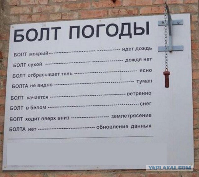 Последствия аномально теплой погоды в Москве