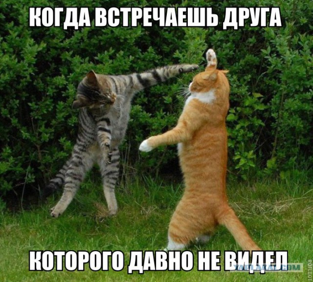 Картинки на утро вторника