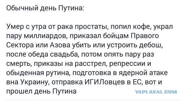 Обычный день Путина