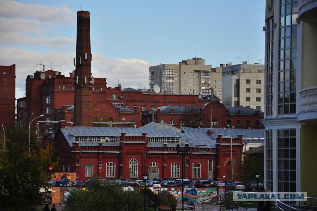 50 на 50: даже не верится, что это части одной фотографии