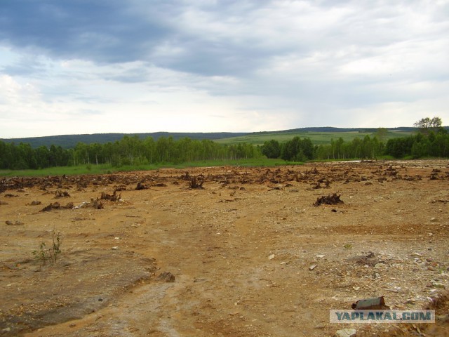 Мой родной сибирский поселок