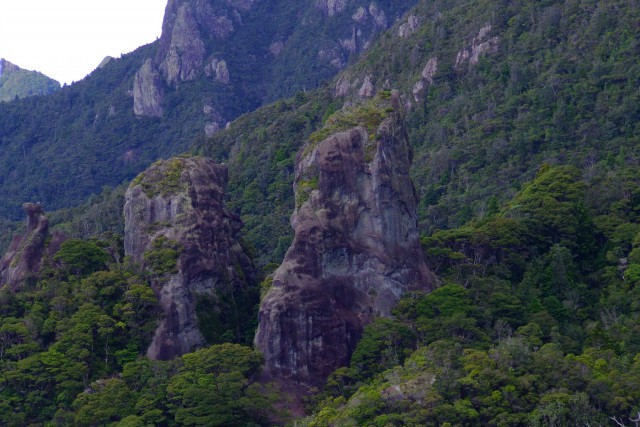 Great Barrier Island. Новая Зеландия.