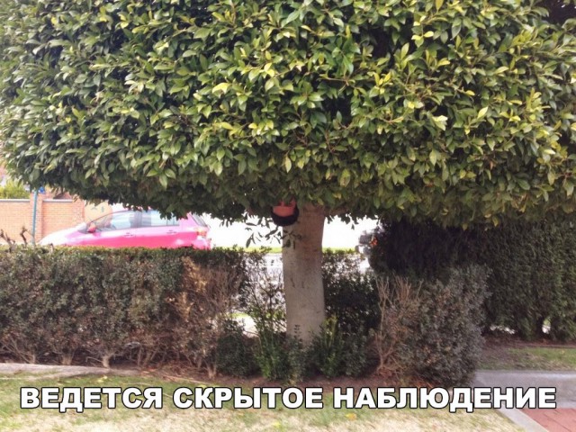 Подборка безудержного веселья