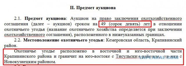 Кузбасские чиновники продают 142 тысячи гектаров тайги рядом с госзаповедником за 6 400 рублей