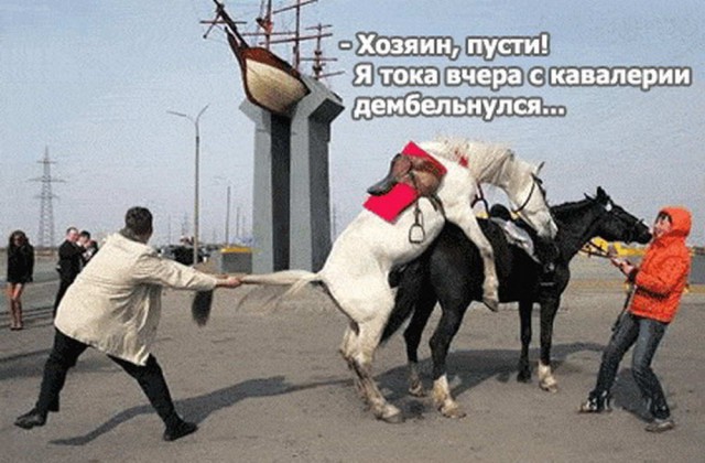 150 картинки для поднятия настроения!