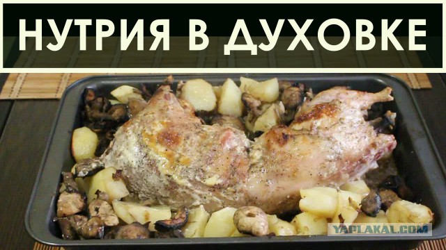 Якубович и обман народа