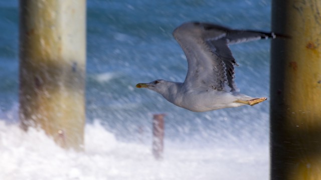 Просто Природа