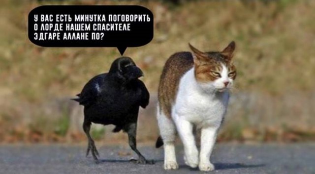 Специфический юмор