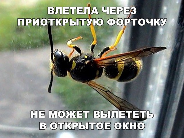 Прикольные картинки обо всем
